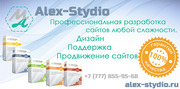 Профессиональная разработка сайтов Alex-Stydio
