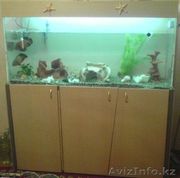 аквариум с оборудованием